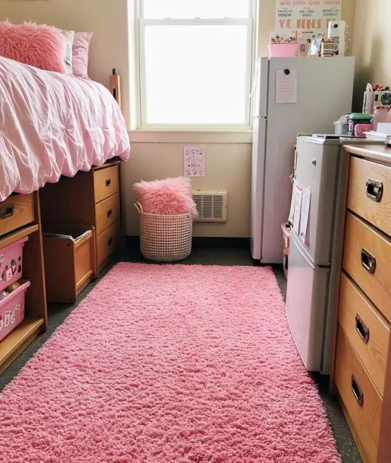 Pink Rugs for a Warm Touch